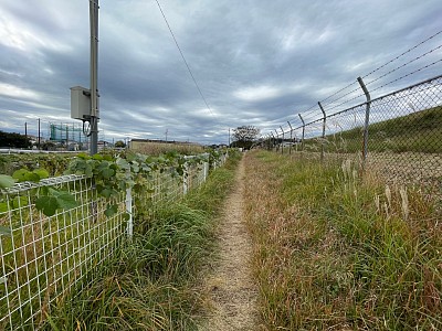 南側　入間基地