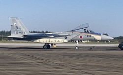 スペシャルマーキングのF-15