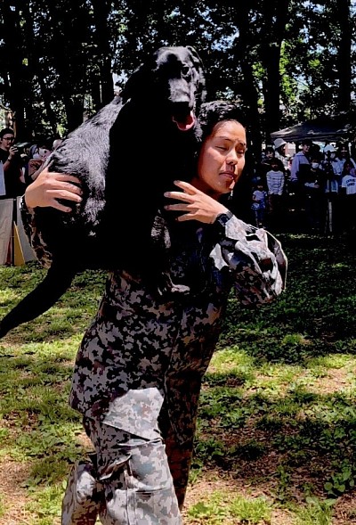 警備犬　K-9 入間基地