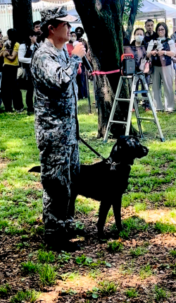 入間基地　警備犬　K-9