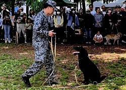 入間基地　警備犬　K-9