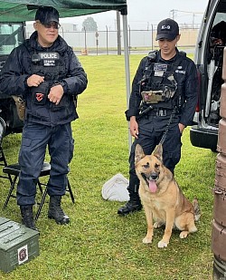 横田基地　警備犬　K-9