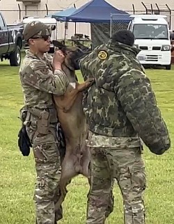 横田基地　警備犬　K-9