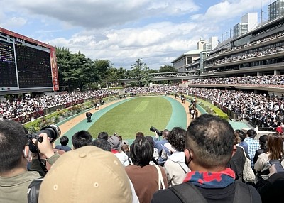 府中競馬場　東京競馬場　JRA マップ