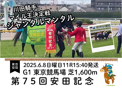 安田記念　第75回　東京競馬場