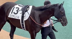 クロワデュノール