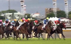 アドマイヤテラ