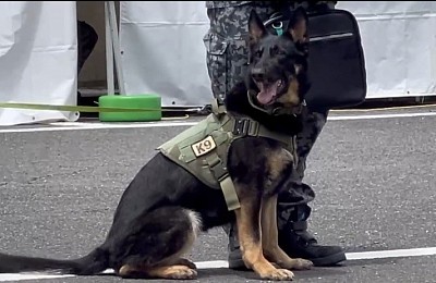 軍用警備犬　K-9 入間基地　アネラ