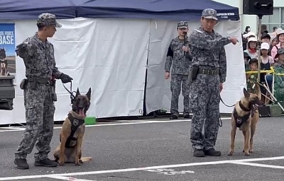 軍用警備犬　K-9 入間基地　ジュリアス　ヨル
