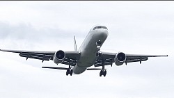 C-32B 白ウナギ