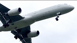 C-32B 白ウナギ