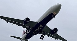 デルタ航空 A330 N817NW