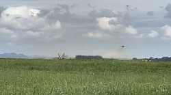 VFA-195 DAMBUSTERS CHIPPY HO F/A-18Eスーパーホーネット