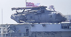 AW101