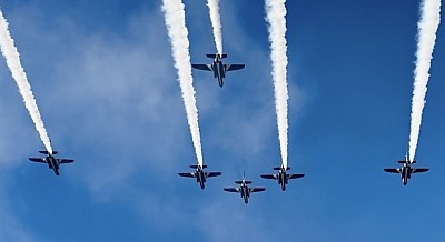 フェニックス・ロール