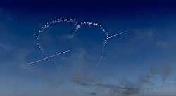 16.キューピッド