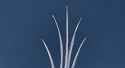 上向き空中開花