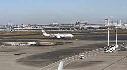 iPhone13 3倍ズームにて撮影