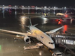 iPhone14Proにて撮影